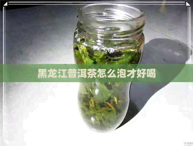 黑龙江普洱茶怎么泡才好喝