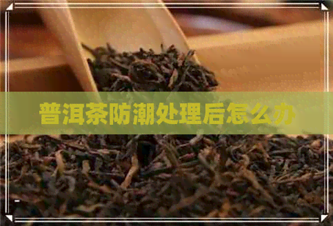 普洱茶防潮处理后怎么办