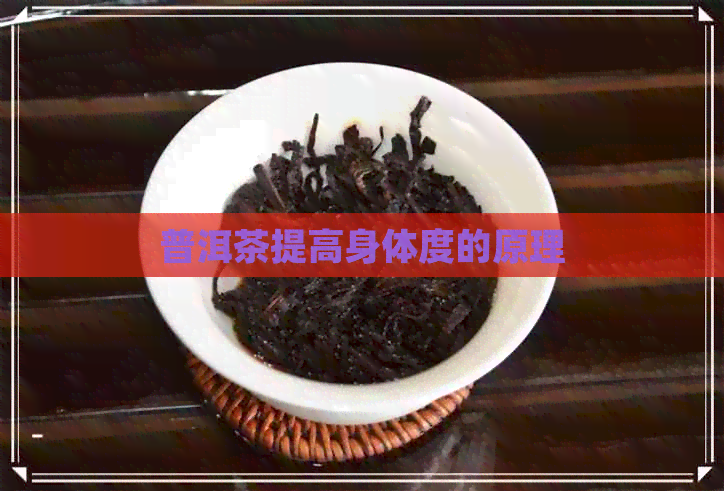 普洱茶提高身体度的原理