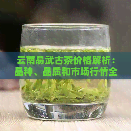 云南易武古茶价格解析：品种、品质和市场行情全解析，助您轻松选购优质茶叶