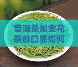 普洱茶加金花茶的口感如何呢？一起泡说说吧！