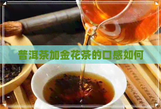 普洱茶加金花茶的口感如何