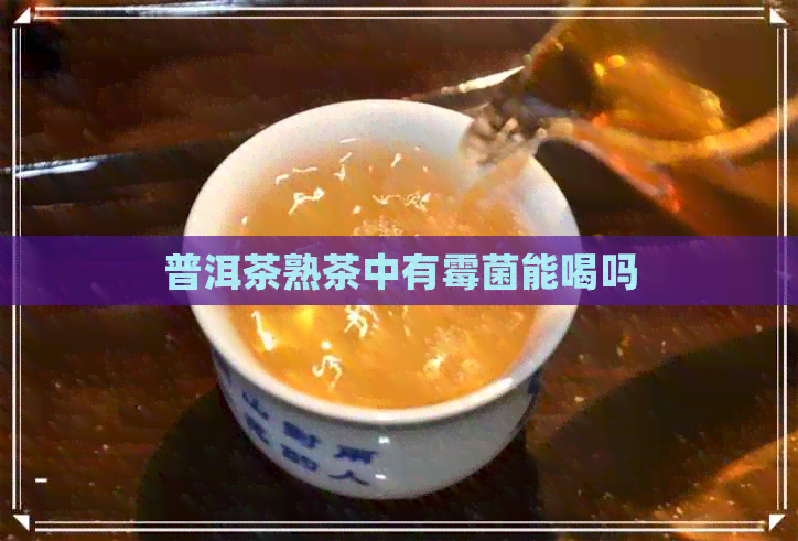 普洱茶熟茶中有霉菌能喝吗