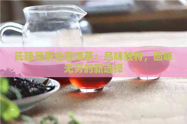 氏臻品茶业普洱茶：品味独特，回味无穷的新选择