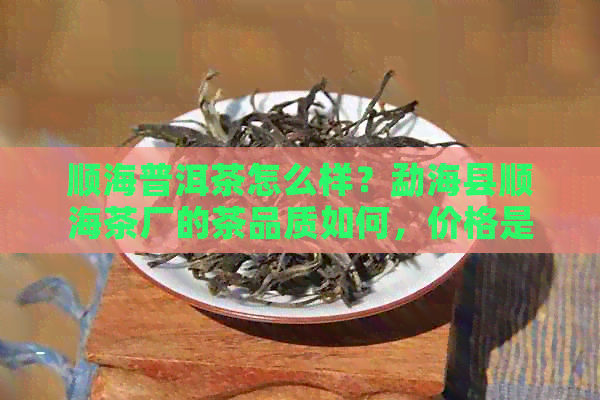 顺海普洱茶怎么样？勐海县顺海茶厂的茶品质如何，价格是多少？