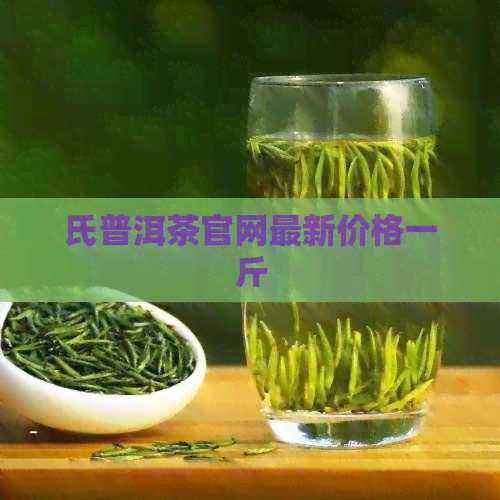 氏普洱茶官网最新价格一斤