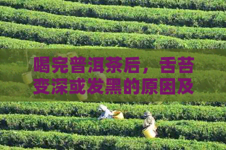 喝完普洱茶后，舌苔变深或发黑的原因及舌苔变厚现象