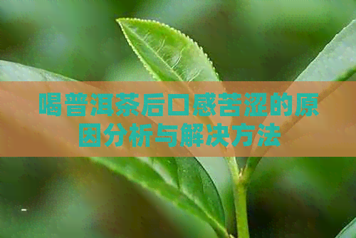 喝普洱茶后口感苦涩的原因分析与解决方法