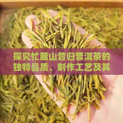 探究忙麓山昔归普洱茶的独特品质、制作工艺及其历文化背景