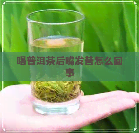 喝普洱茶后嘴发苦怎么回事