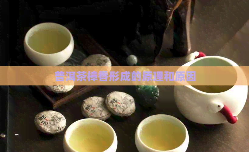 普洱茶樟香形成的原理和原因