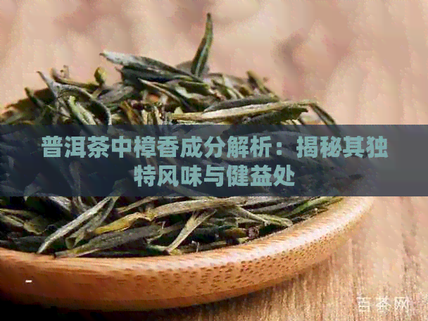 普洱茶中樟香成分解析：揭秘其独特风味与健益处