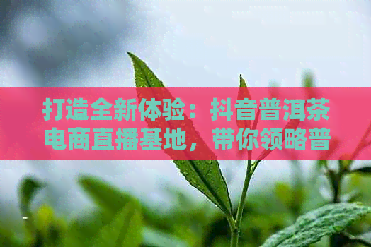 打造全新体验：抖音普洱茶电商直播基地，带你领略普洱茶文化之美与品质之选