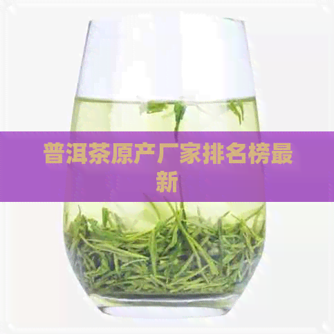 普洱茶原产厂家排名榜最新