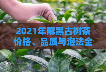 2021年麻黑古树茶价格、品质与泡法全面解析，了解一杯好茶的真实价值