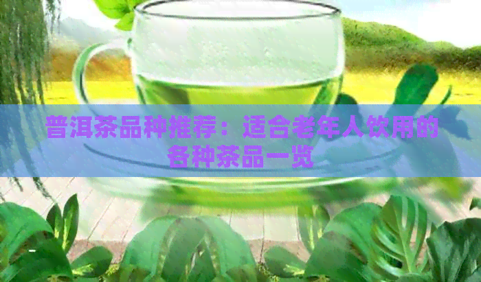 普洱茶品种推荐：适合老年人饮用的各种茶品一览