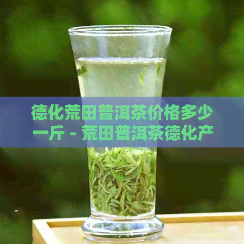 德化荒田普洱茶价格多少一斤 - 荒田普洱茶德化产地价格查询