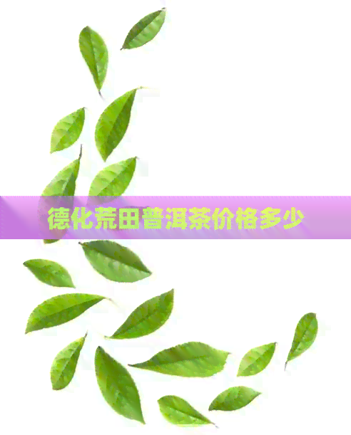 德化荒田普洱茶价格多少