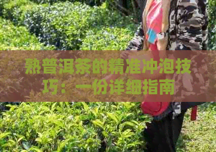 熟普洱茶的精准冲泡技巧：一份详细指南