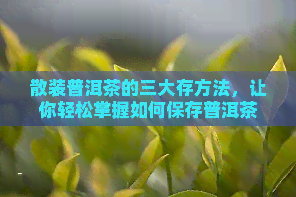 散装普洱茶的三大存方法，让你轻松掌握如何保存普洱茶