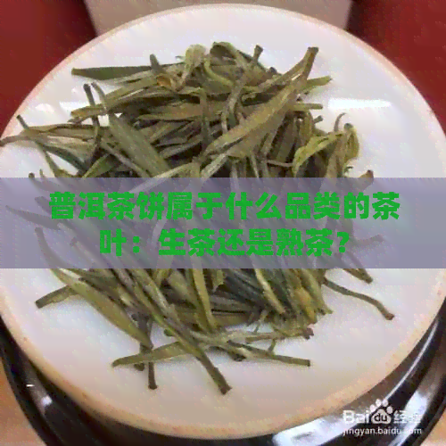 普洱茶饼属于什么品类的茶叶：生茶还是熟茶？