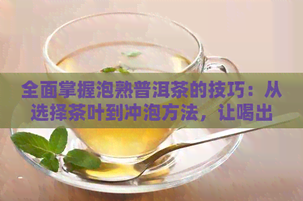 全面掌握泡熟普洱茶的技巧：从选择茶叶到冲泡方法，让喝出更好的普洱茶体验