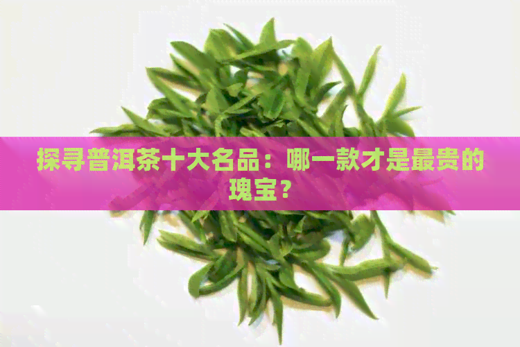 探寻普洱茶十大名品：哪一款才是最贵的瑰宝？