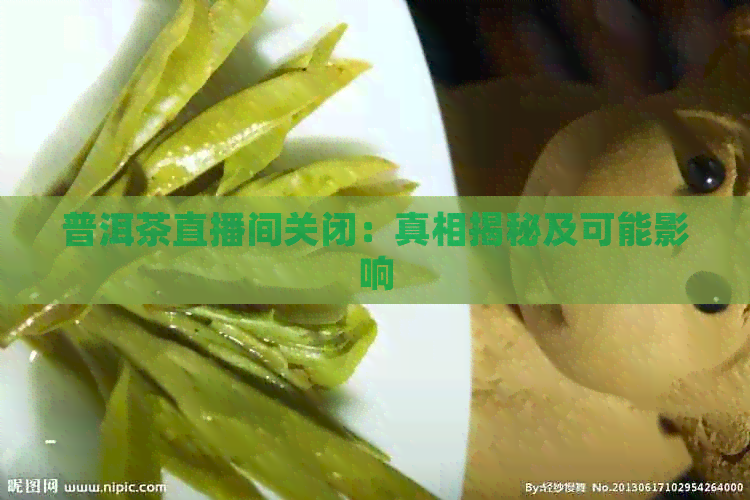 普洱茶直播间关闭：真相揭秘及可能影响