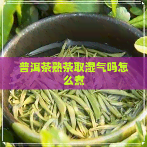 普洱茶熟茶取湿气吗怎么煮