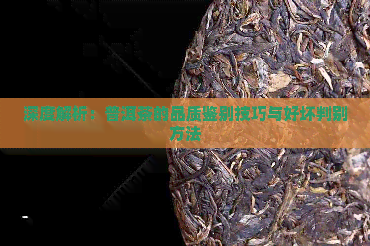 深度解析：普洱茶的品质鉴别技巧与好坏判别方法