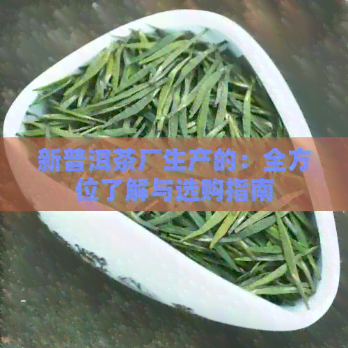 新普洱茶厂生产的：全方位了解与选购指南