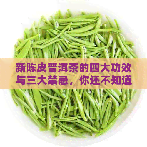 新陈皮普洱茶的四大功效与三大禁忌，你还不知道吗？