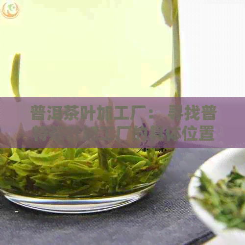 普洱茶叶加工厂： 寻找普特茶叶加工厂的具     置