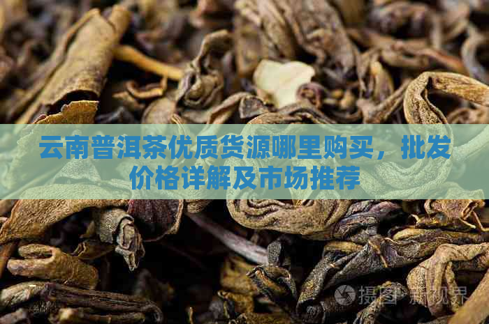 云南普洱茶优质货源哪里购买，批发价格详解及市场推荐
