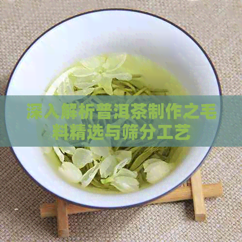 深入解析普洱茶制作之毛料精选与筛分工艺