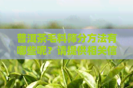 普洱茶毛料筛分方法有哪些呢？请提供相关信息。