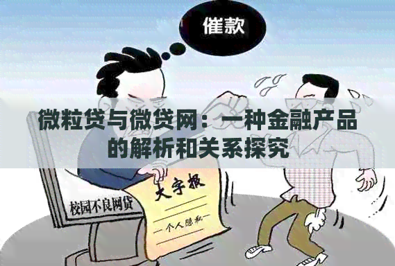 微粒贷与微贷网：一种金融产品的解析和关系探究