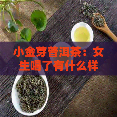 小金芽普洱茶：女生喝了有什么样的效果与体验？