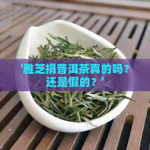 '雅芝捐普洱茶真的吗？还是假的？'