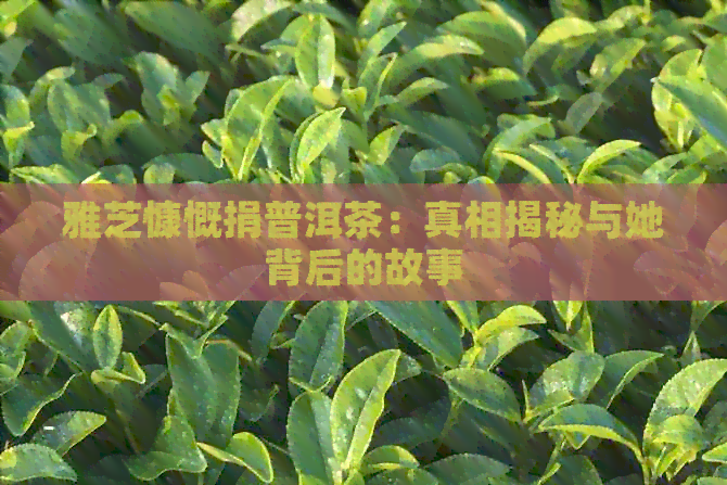 雅芝慷慨捐普洱茶：真相揭秘与她背后的故事