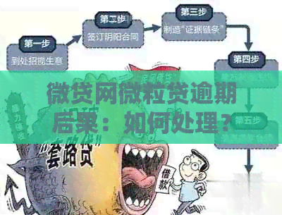 微贷网微粒贷逾期后果：如何处理？