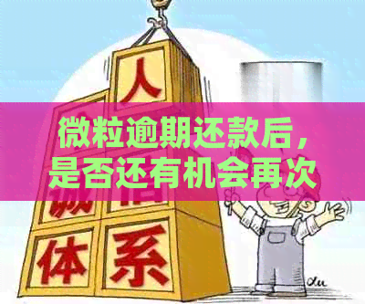 微粒逾期还款后，是否还有机会再次借款？