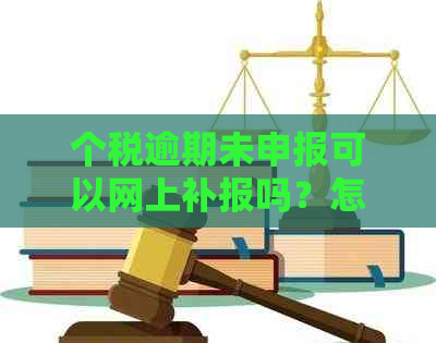 个税逾期未申报可以网上补报吗？怎么办？