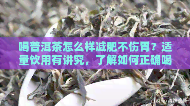 喝普洱茶怎么样减肥不伤胃？适量饮用有讲究，了解如何正确喝普洱茶！