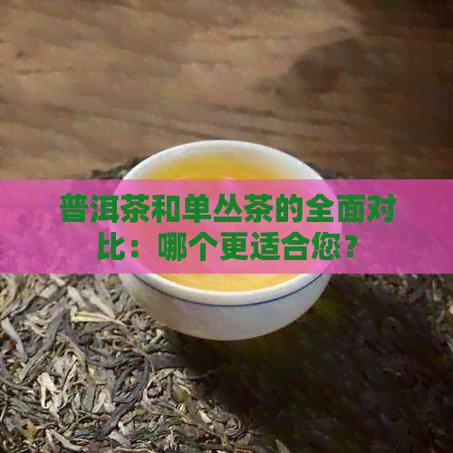 普洱茶和单丛茶的全面对比：哪个更适合您？