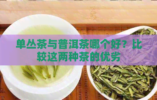 单丛茶与普洱茶哪个好？比较这两种茶的优劣