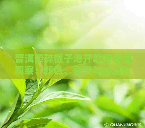 普洱茶碎银子泡开后的详细观察：颜色、香气与味道的变化