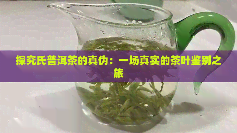 探究氏普洱茶的真伪：一场真实的茶叶鉴别之旅