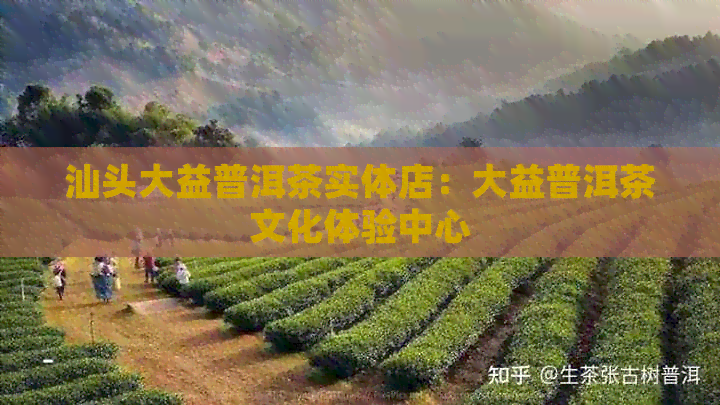 汕头大益普洱茶实体店：大益普洱茶文化体验中心