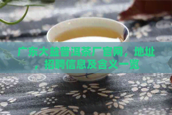 广东大益普洱茶厂官网，地址，招聘信息及含义一览